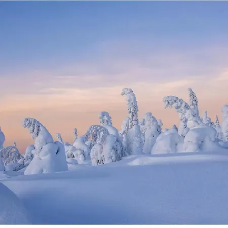Ski-in Levi, Auroras On The Mountain بيت للعطل ليفي