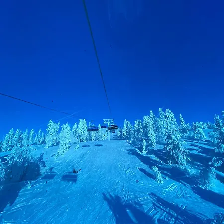 Ski-in Levi, Auroras On The Mountain *