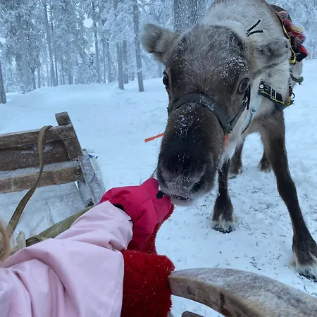 Ski-in Levi, Auroras On The Mountain
