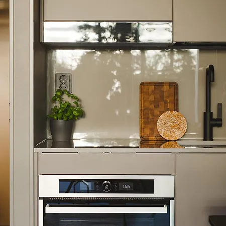 Ski-in Levi, Auroras On The Mountain *