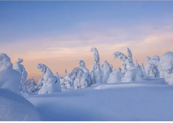 Ski-in Levi, Auroras On The Mountain Tatil Evi Levi