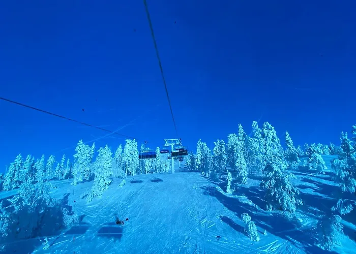 Ski-in Levi, Auroras On The Mountain *