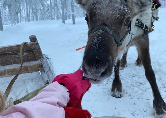 Ski-in Levi, Auroras On The Mountain