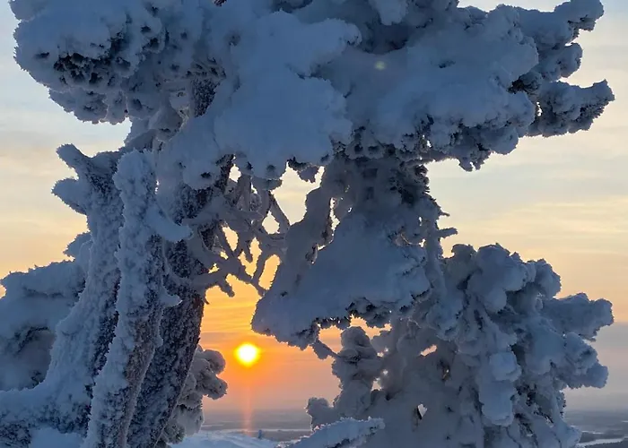 펜션 Ski-in Levi, Auroras On The Mountain