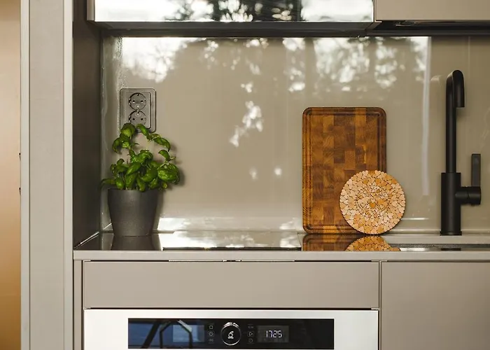 Ski-in Levi, Auroras On The Mountain *