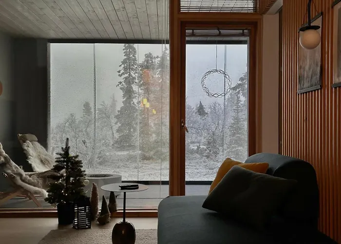 Ski-in Levi, Auroras On The Mountain Tatil Evi *