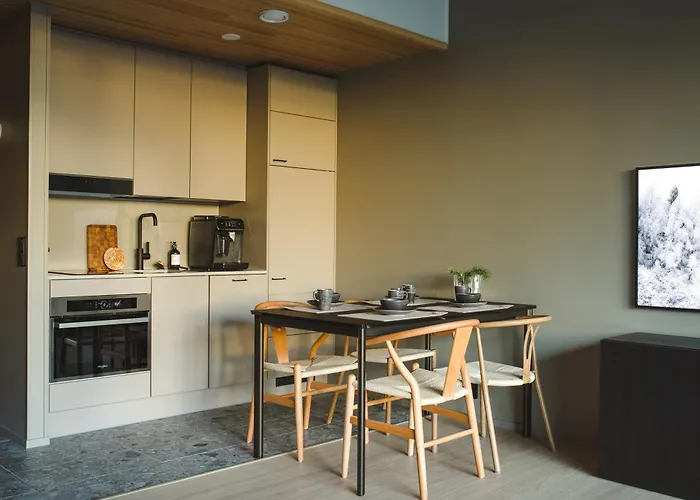 Tatil Evi Ski-in Levi, Auroras On The Mountain Levi