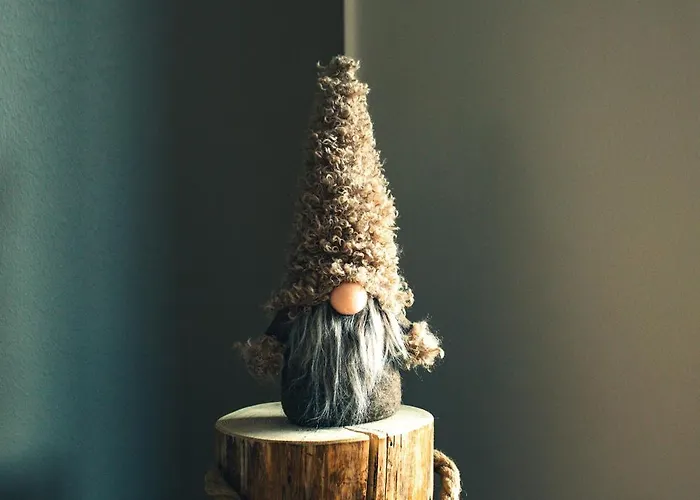 Ski-in Levi, Auroras On The Mountain Tatil Evi *