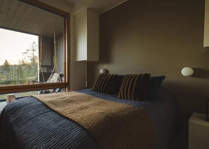 Ski-in Levi, Auroras On The Mountain *