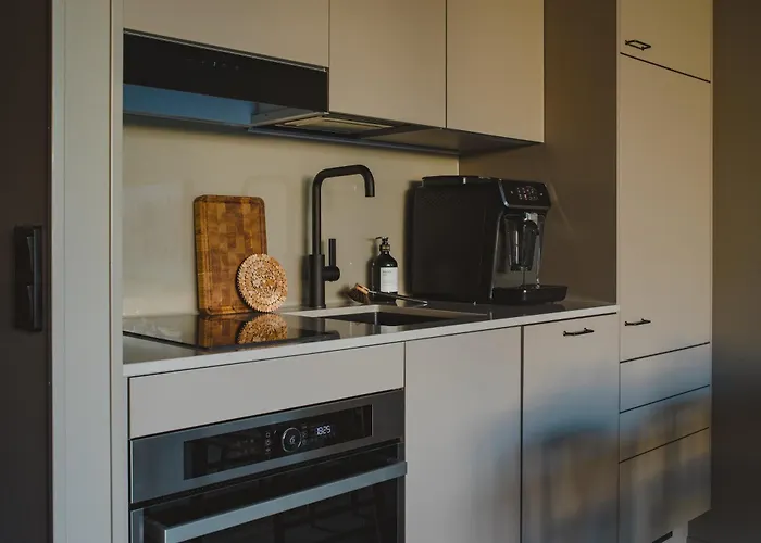 Ski-in Levi, Auroras On The Mountain Levi